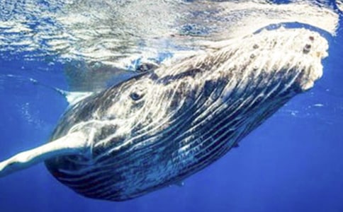 ������g(sh��)�̰��L�~(y��)�̰�