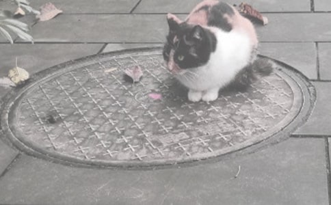 ������ľ��w����400��