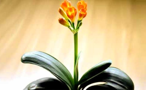 �����m������