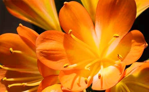 �����m����15ƪ[�]]