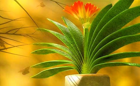 �����m���ģ���(j��ng)��10ƪ��