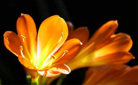 �����m���ąR����15ƪ��