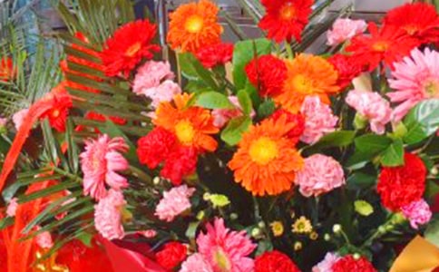 �y���_���R��
