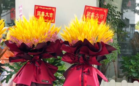 �µ��_����(j��ng)���İ������x320�䣩