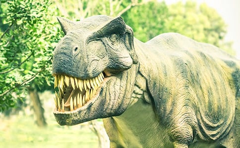 �����Ĝ�^��(y��u)��̰�