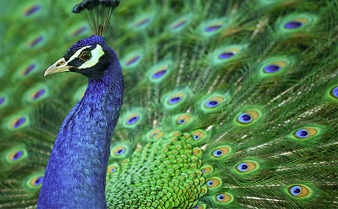 ��ȸ�|���w�x���