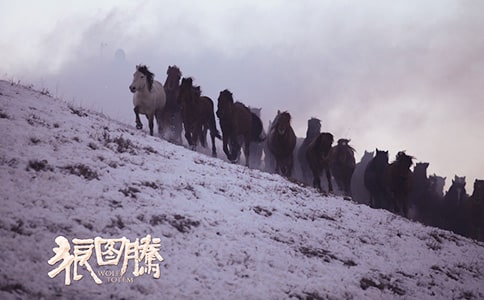 �x���ǈD�v���и�_С�W(xu��)��������ƪ