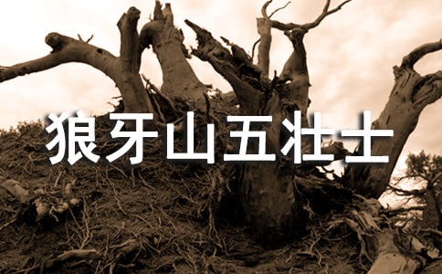 讀《狼牙山五壯士》有感(匯編15篇)