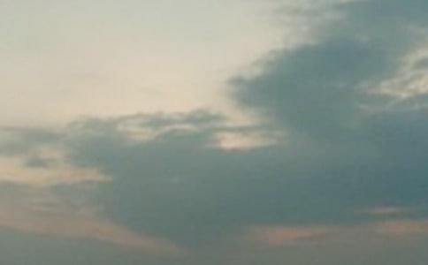 �m�Ͽ����賿�l(f��)�������f(shu��)�f(shu��)