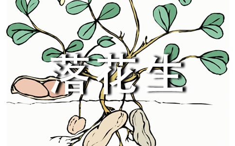���仨�����̌W��Մ