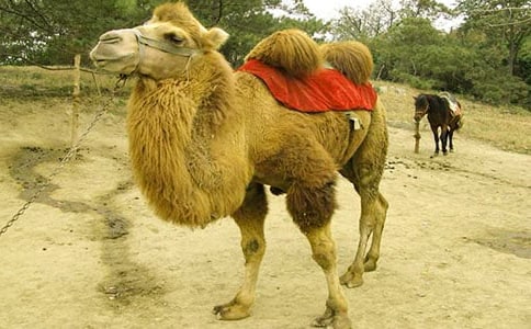 ������500���\��8ƪ