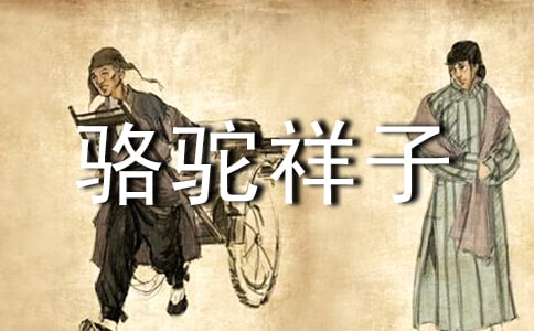 駱駝祥子讀后感800字最新范文