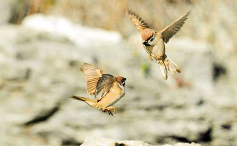 �P(gu��n)����ȸ���i�Z(y��)����