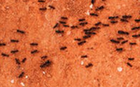 �x����܊��Λρ���ĸ���