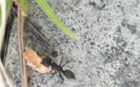 Λρ���X�X�Ľ̌W(xu��)�O(sh��)Ӌ(j��)