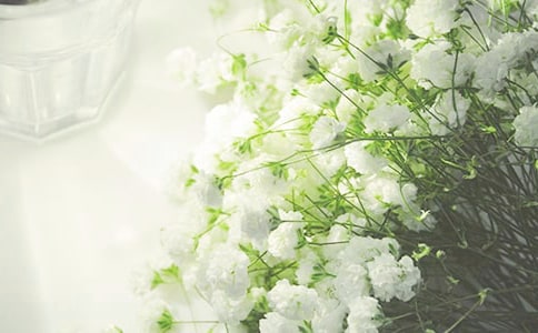 �����A���M��������