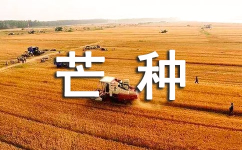 芒種優(yōu)美句子15篇【優(yōu)秀】