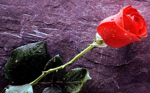 ɳĮõ��Ԋ��