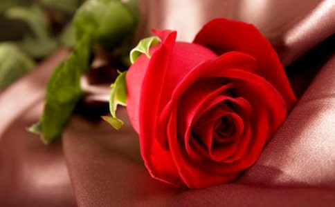�������Z����(ji��n)�����������������x��õ��