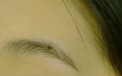 ���H��üë����_�茑�ְ�900��