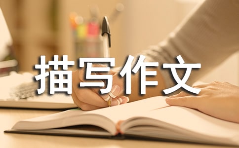 ����Ƭ���茑���ļ��\5ƪ
