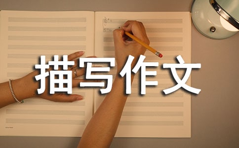�����A������Ƭ���茑������ƪ