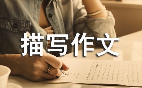 ����Ƭ���茑(xi��)���ąR��6ƪ