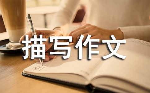 ����Ʒ������Ƭ���茑����3ƪ