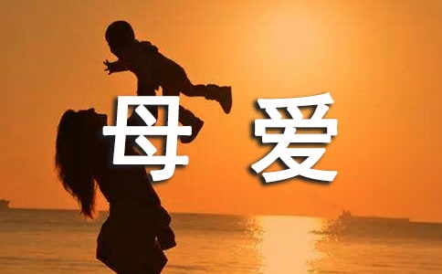 關(guān)于母愛的句子15篇