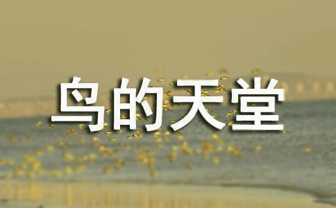 �B�����ý̌W��˼����