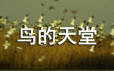 ���B�����á����n�ý̌W(xu��)�O(sh��)Ӌ(j��)��ͨ��15ƪ��