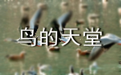���B�����á��n��(��(y��u)�x)