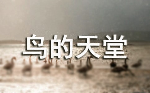 �B�������n��˼