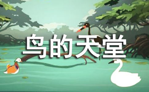 【實用】鳥的天堂教案13篇