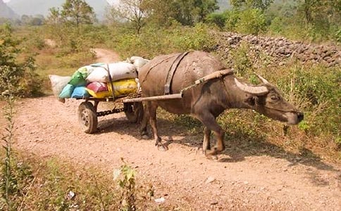 ţ܇���S�Pɢ��