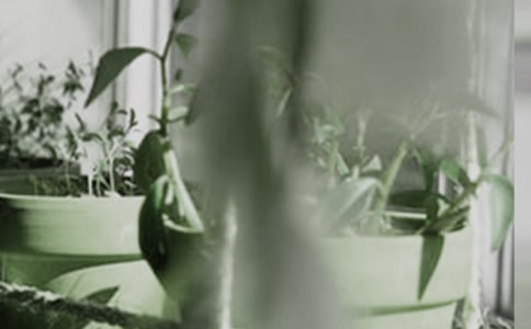 ���Ի��܄�(chu��ng)�I(y��)�߄���