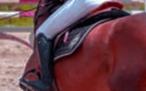 ��һ���T�R����300��