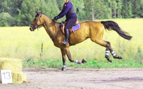�T�R��ӛ