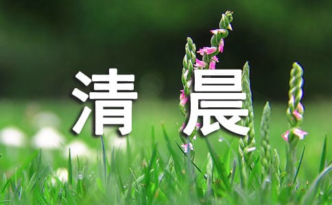 清晨的陽(yáng)光句子圖片