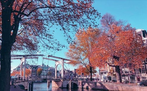 ����(y��u)�㡿����˽�Z����15ƪ