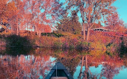 秋日聽雨抒情散文