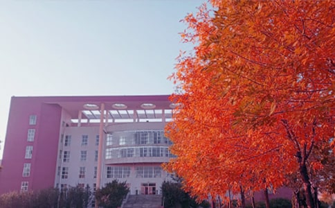 秋日獨游心情隨筆