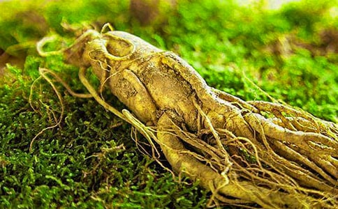 �˅��Ĺ�Ч���ü�ʳ�÷�����B