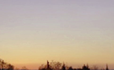 �P(gu��n)�������7������