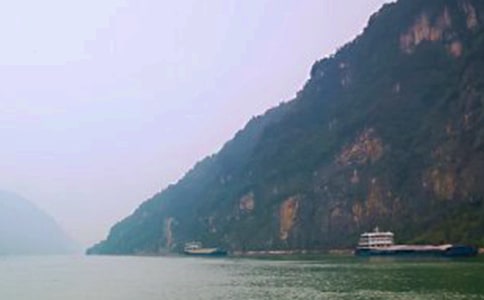 ���{��W�p����(y��u)���S�P