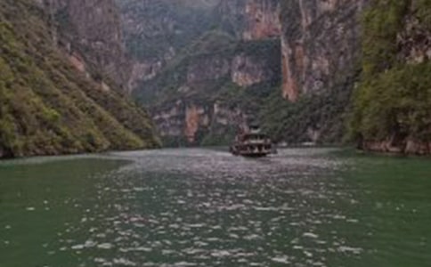 �����{�����W��