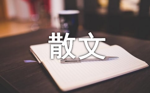 雅韻旗袍,風(fēng)情搖曳散文
