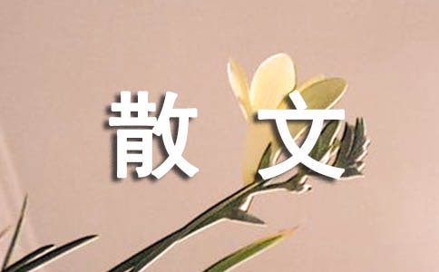 關于雨的散文名篇(通用20篇)
