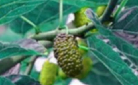 ����(y��u)�x��ժɣ������15ƪ