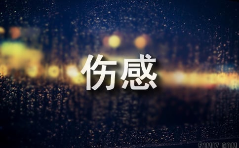 ����o���q�o����������